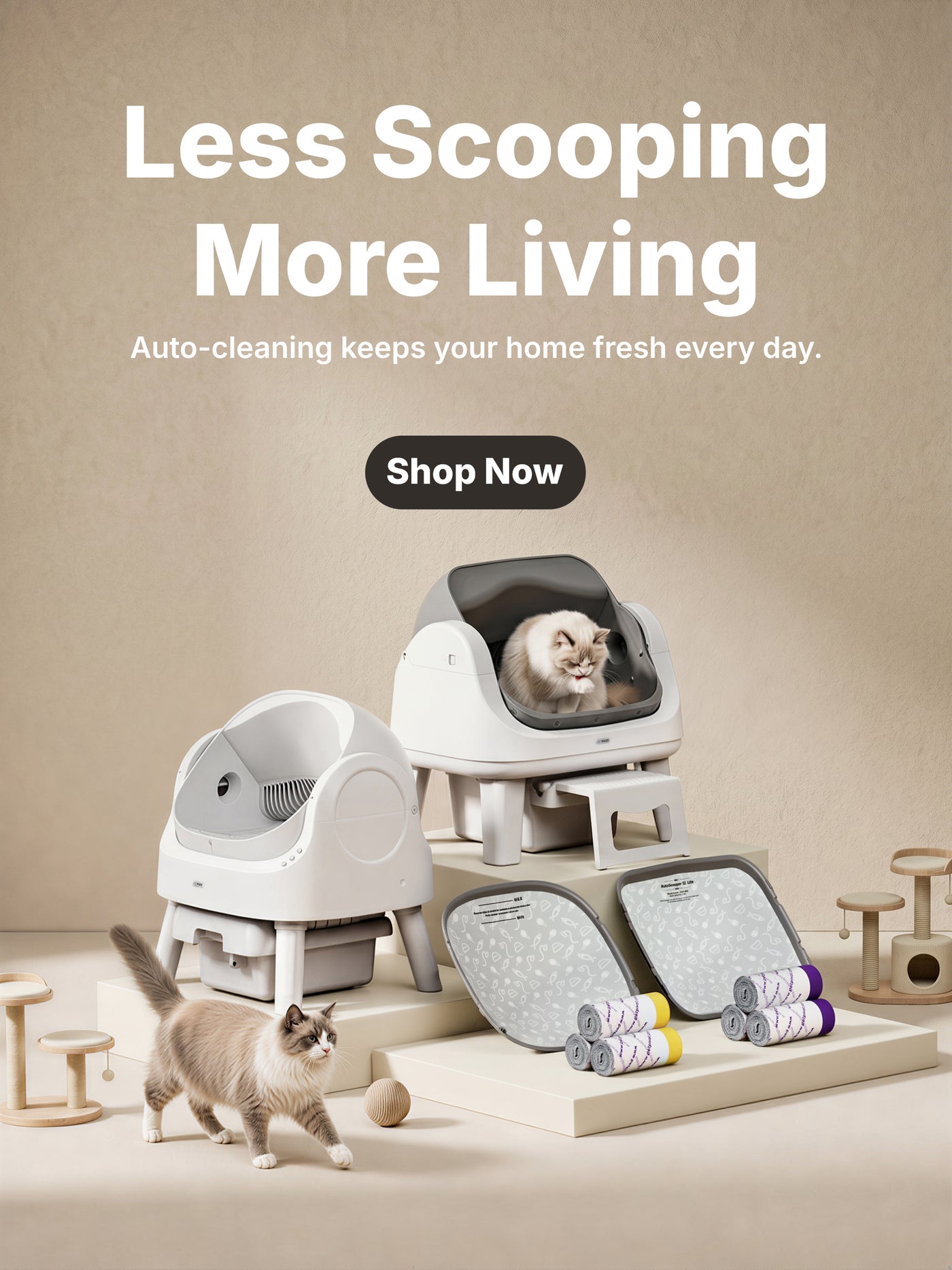 AutoScooper Buy Guide: My Honest Litter Box Review